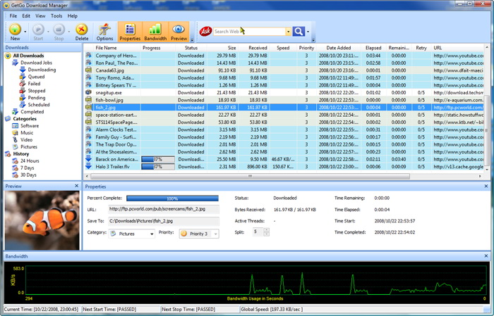 Download Manager   -  6